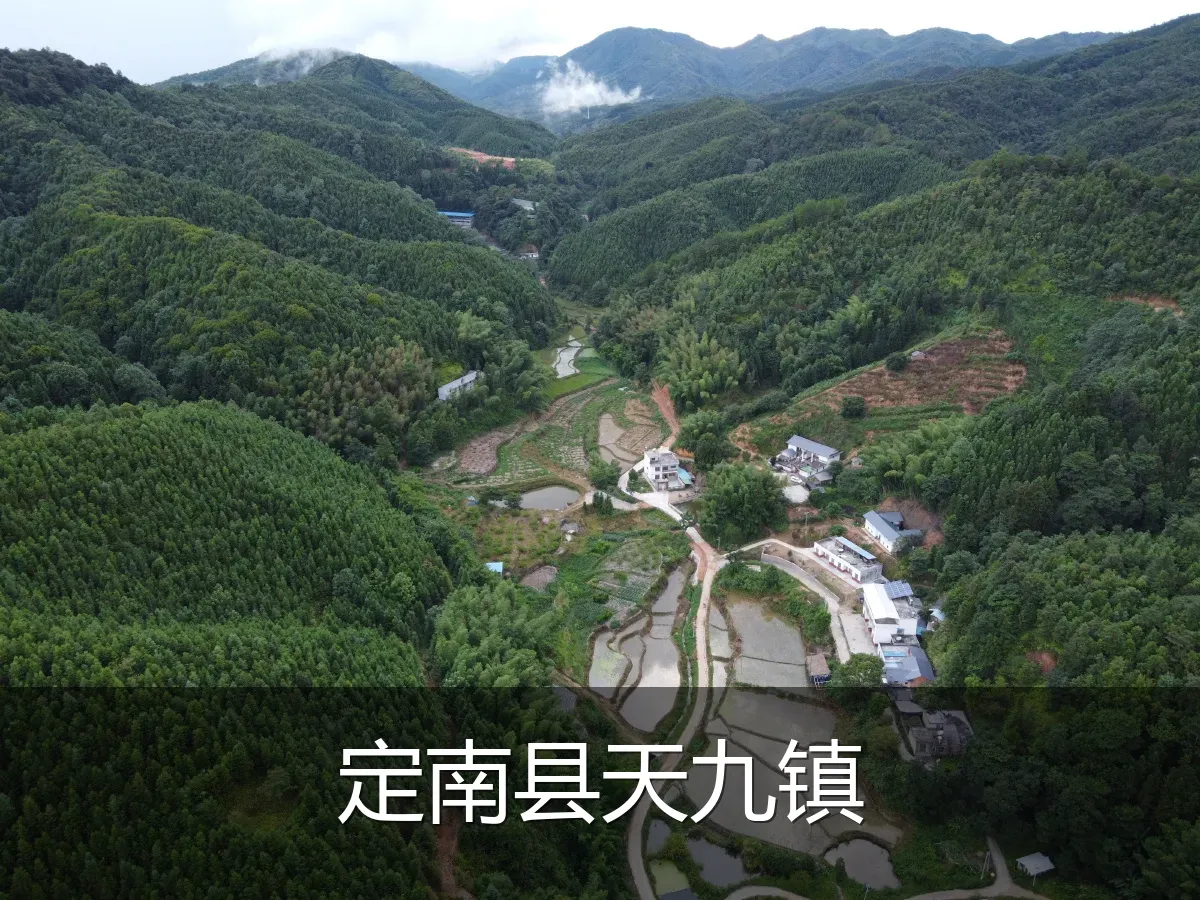 定南县天九镇