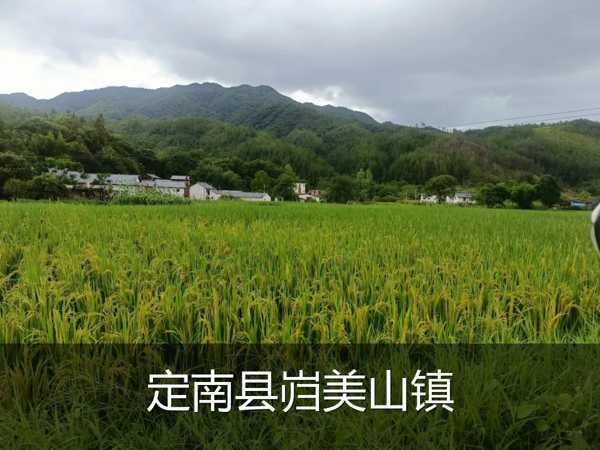 定南县岿美山镇